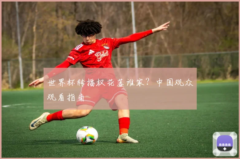 世界杯转播权花落谁家？中国观众观看指南